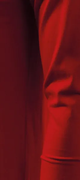 Pánská polokošile s dlouhým rukávem - Střih s bočními švy