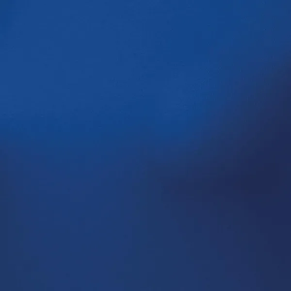 Dámské triko přiléhavé s dlouhým rukávem - Kvalitní materiál pro maximální pohodlí